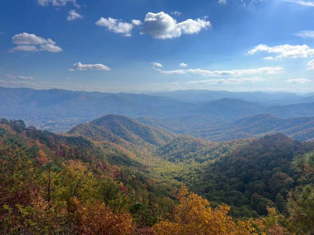 Carolina in the Fall
